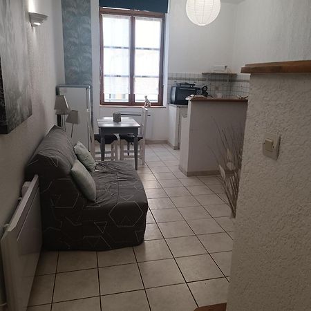 Grand Studio Meuble Chez Coco Romans-sur-Isère Eksteriør bilde