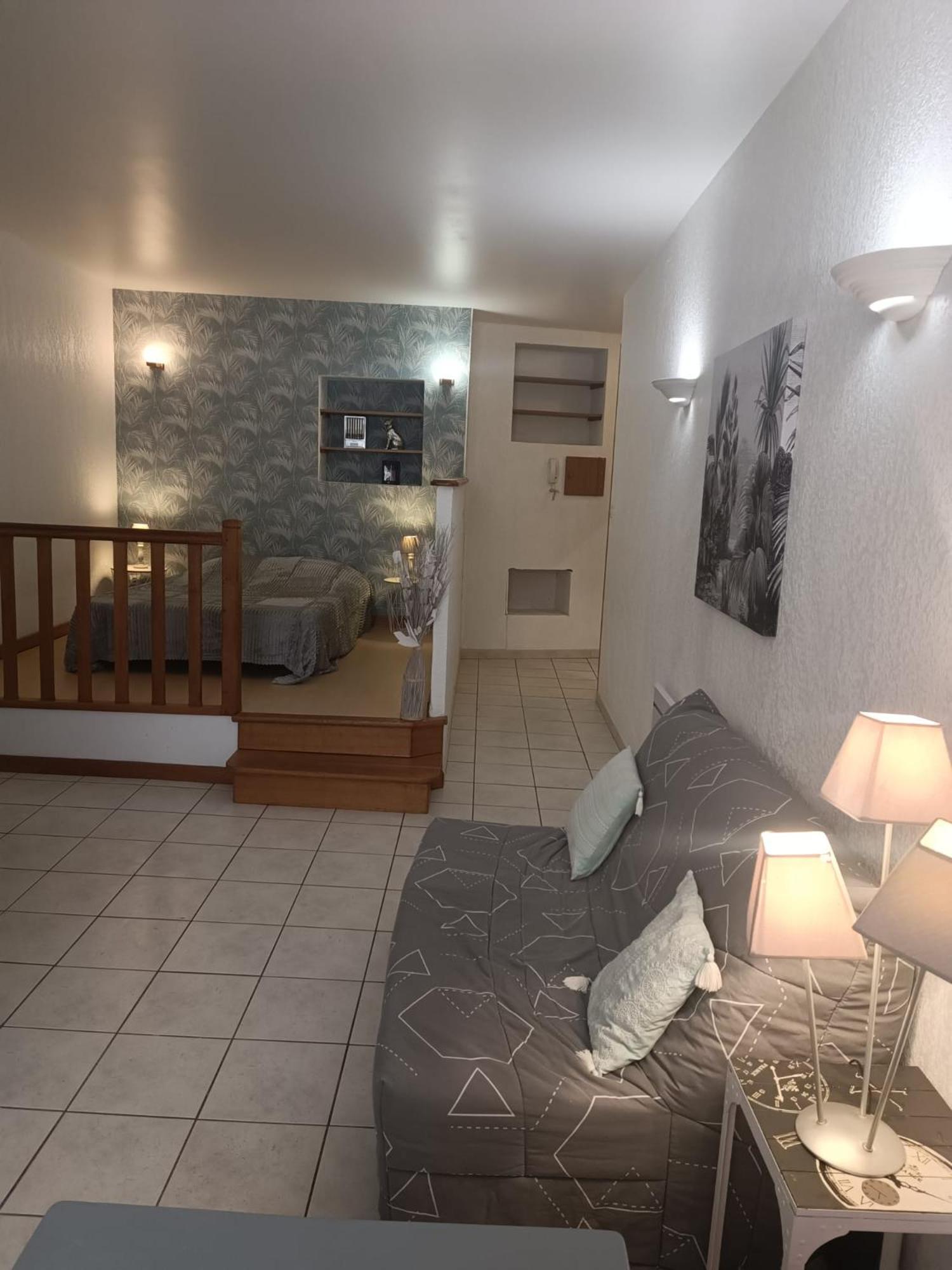Grand Studio Meuble Chez Coco Romans-sur-Isère Eksteriør bilde
